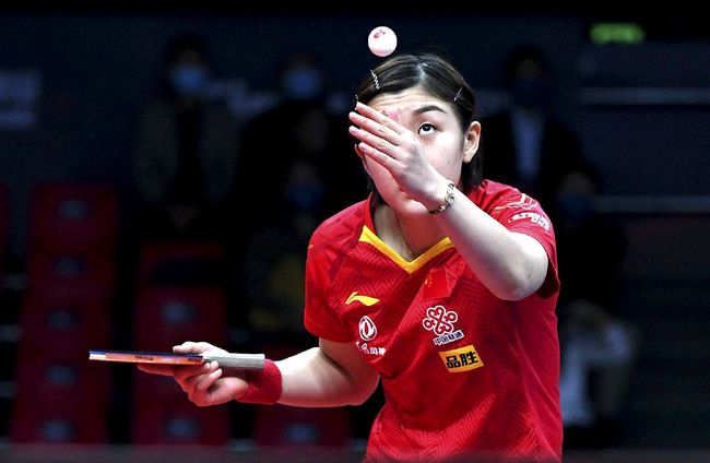 泳世界杯上 泳世界杯上